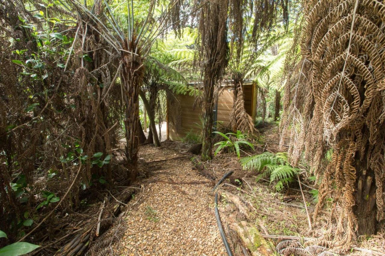Karaka Sanctuary With Spa Pool By Waiheke Unlimited Oneroa Zimmer foto
